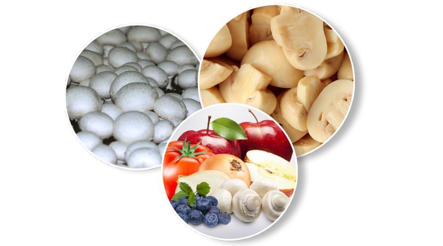 فطر طازج، مسلوق، مبستر ومعقم - شراء وبيع - بولندا 01