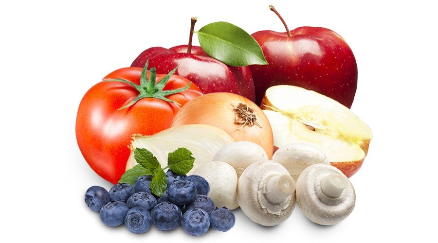 فطر طازج، مسلوق، مبستر ومعقم - شراء وبيع - بولندا 02