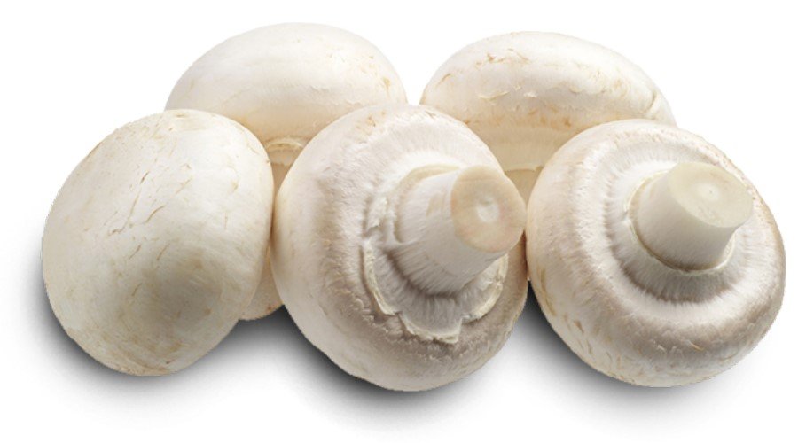 فطر طازج، مسلوق، مبستر ومعقم - شراء وبيع - بولندا 04