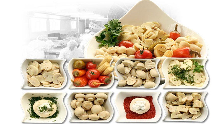 فطر طازج، مسلوق، مبستر ومعقم - شراء وبيع - بولندا 04